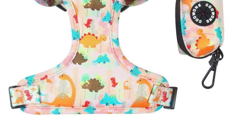 Accesorios para perros pequeños, medianos y grandes (dinosaurio, XS (cuello 9″-11″; pecho 11″-13″)