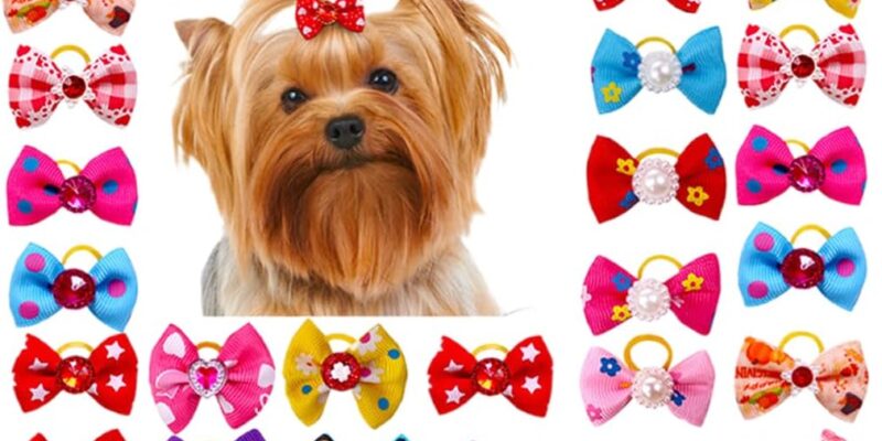 40 Piezas Lazos para Perros con Bandas Elásticas, Lazos para el Cabello para Perros, Accesorios para Perros para Cabello Lindo, Accesorios de Aseo Diario para Mascotas para Vacaciones