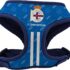 DUKIER – Collar para Perro, Ajustable y Ajustable, Accesorio para Mascotas de Neopreno, Resistente, Diseño California, Talla M