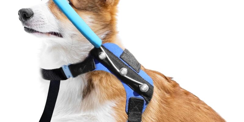 Arnés para perros Halo Azul XS Accesorio protector funcional para perros ciegos