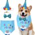 Juego de 2 accesorios para mascotas, sombrero de vaquero y pañuelo retro, decoración de carnaval para perros y gatos de todos los tamaños