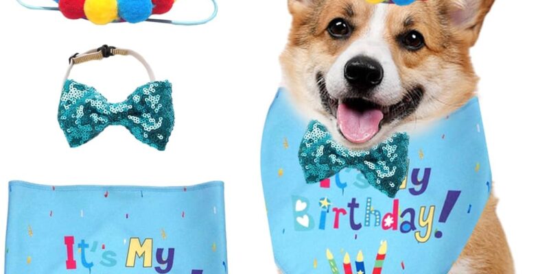 3 Piezas Accesorios para Fiestas de Cumpleaños para Mascotas, Toallas para la Cabeza de Cumpleaños para Perros, Juegos de Decoración para Perros y Gatos, Accesorios de Ropa para Mascotas, Accesorios para Mascotas
