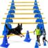 Juguete Interactivo para Perros, Botella Chirriante con Pelota de Tenis, Juguete para Masticar y Compresión, Diseño para Entrenamiento y Exteriores, Accesorio para Mascotas con Forma de Botella, 20 cm