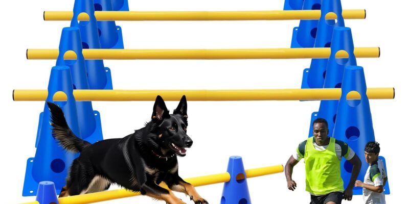 Accesorios de Entrenamiento de Agilidad para Perros y Caballos 5 Set Agility Set Perros Barreras Juego de Obstáculos Niños 23cm para Entrenamiento de Animales y fútbol (Azul 32cm 6Set)