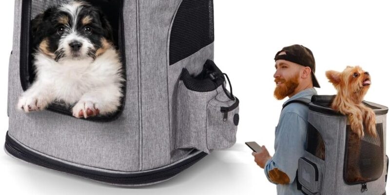 Mobiclinic® Pets Mochila para Mascotas, Plegable, Ventana de Malla, Bolsillos para Accesorios, Múltiples Accesos, Doble Asa, Ajustable, 30 x 25 x 40 cm, Transportín para Perros y Gatos, Thor