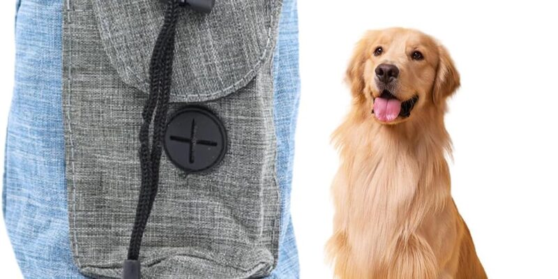 Bolsa de golosinas para perros, accesorios para perros, bolsa de entrenamiento para perros, bolsa de golosinas para perros con dispensador de bolsas para excrementos y cinturón ajustable