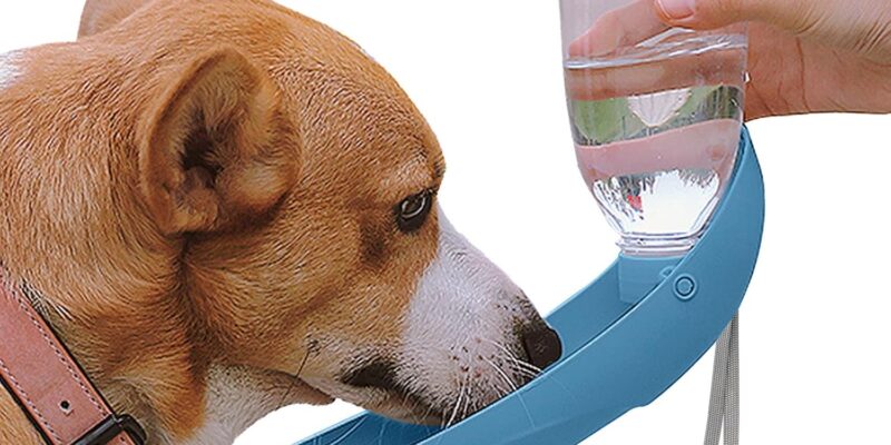 NAMSAN Botella para Beber para Perros 550 ML Accesorios de Playa para Perros y Gatos Bebedero Plegable Fácil de Transportar para Actividades al Aire Libre – Azul