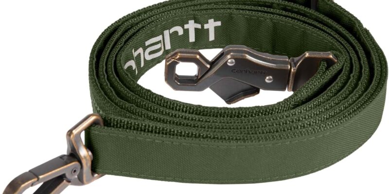 Correa para perro Carhartt Field, tela duradera de 600 denier con anilla en D de metal ajustable, hoja de roble, grande