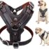 Selección Española – Arnés para Perros, Accesorios para Mascotas, Collar, Talla L, Rojo, Producto Oficial (CyP Brands)