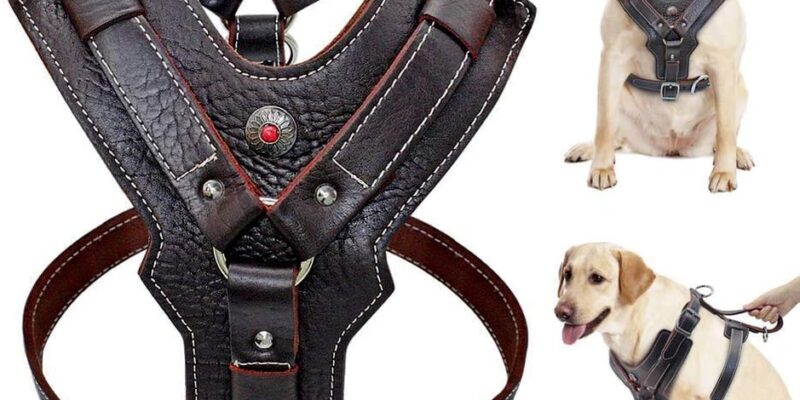Arnés para perros de cuero genuino, duradero, ajustable, para perros grandes, control rápido con asa, accesorio para mascotas para Labrador K9 (L)