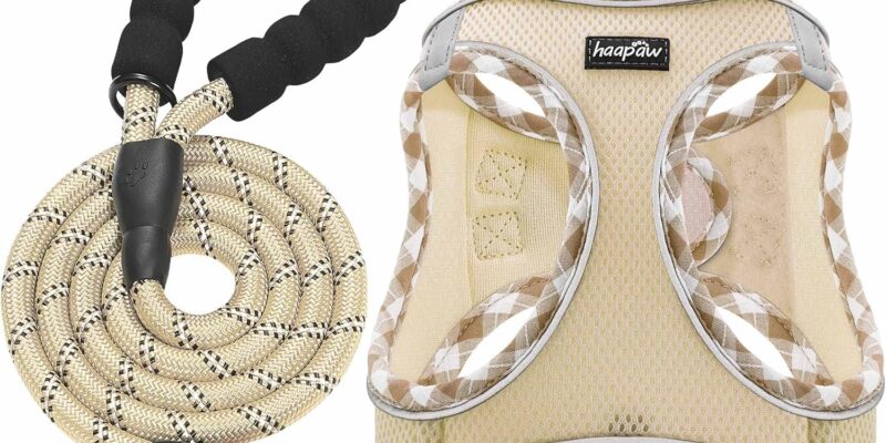 haapaw Dog Harness and Leash Set, No Pull Adjustable Reflective Puppy Vest Padded Vest for Extra Small/Small Medium Dogs Beige