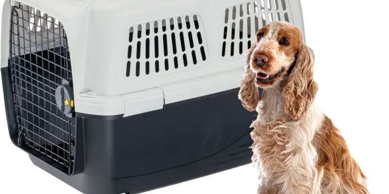 Ferplast Transportín Perro CLIPPER PLUS, IATA, Transportín para Perros Medianos max 20 Kg, Cierre Seguro, Doble Compartimento para Accesorios, Asa extraíble, 71 x 50 x h 51 cm
