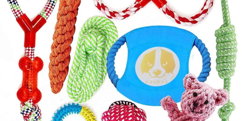 FONPOO Dog Toys Group Durable Chew Rope Loneliness Group Toy for Small Medium Solo Puppy to Keep Your Dog Healthy 10 Pieces …