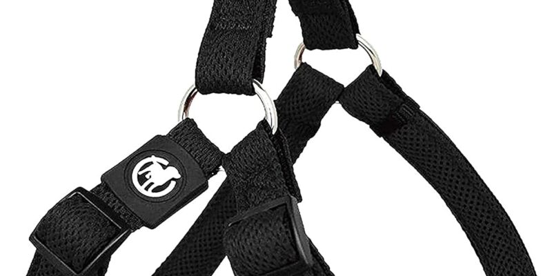 DDOXX Step-in Air Mesh Dog Harness, Adjustable, Padded | Many Colors & Sizes | for Small, Medium and Large Dogs | Cat Puppy Accessories | Black, S