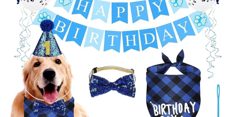 Boxgear, accesorios para fiesta de cumpleaños de perros, Bandana, sombrero, conjunto de pancarta, globos WOOF, pancarta de feliz cumpleaños, suministros para fiesta de cumpleaños para cachorros y mascotas