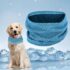 30 Piezas Lazos para Perros con Elásticos, Varios Estilos Lazos para Perros, Estilos de Lazos para Perros Múltiples Lazos para el Cabello para Perros Lindos Accesorios de Aseo para Perros Accesorios para Collares
