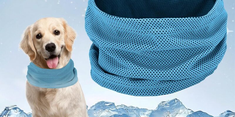 Bandana refrescante para perros, collar refrescante para perros, bufanda transpirable y cómoda para perros, collar para mascotas con accesorios frescos de verano (azul-M)
