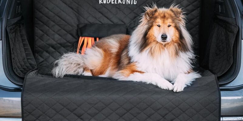Rudelkönig Protector para maletero – Impermeable y universal – Funda para maletero de coche para perros – Funda para maletero de coche
