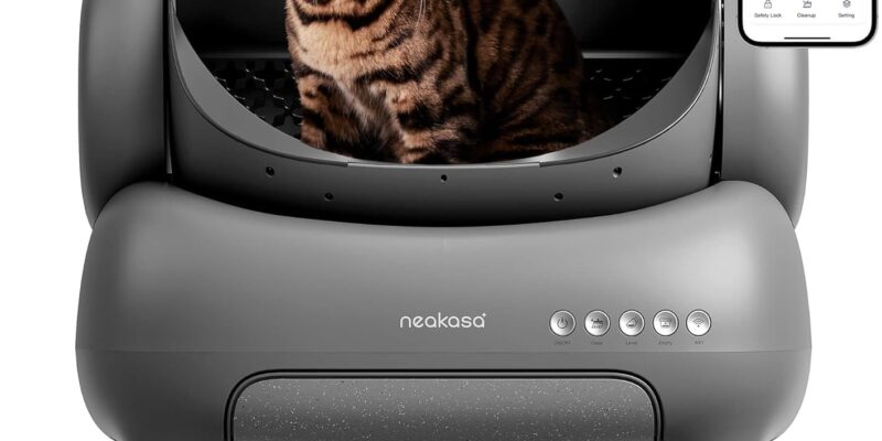 Neakasa M1 Self-Cleaning Cat Litter Box with Open Design, XXL Capacity, App Control, Safe, Quick Cleaning, Odorless and Hygienic, Suitable for Homes with Multiple Cats, Grey