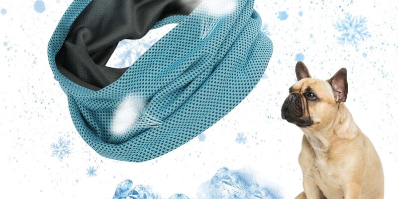 EKKONG Bandana refrescante para perros, collar refrescante para perros, accesorios para mascotas para enfriar perros, bandana para perros para enfriar en verano, 35 x 11 cm (M)