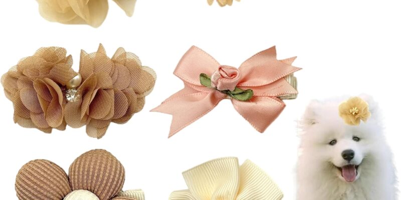 DHER 6 piezas pinzas para el cabello para perros, hebilla de cabello, pinza para el cabello, para mascotas, clips de pelo, pequeños animales, clips de pelo, súper peinado, para perros, accesorios de