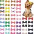 Ferplast Transportín Perro CLIPPER PLUS, IATA, Transportín para Perros Medianos max 20 Kg, Cierre Seguro, Doble Compartimento para Accesorios, Asa extraíble, 71 x 50 x h 51 cm