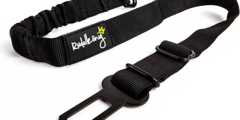 Rudelkönig Cinturón de Seguridad para Perros en el Coche – Ajustable y Elástico para Todas Las Razas