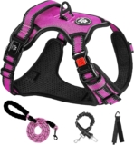 NESTROAD Anti-Pull H-Harness Dog Collar and Leash Car, Safety Belt Dogs Anti-Escape Pink Red, Size M for Medium Dogs, Neck 33~43 cm Chest 43~64, Dogs Basic Accessories