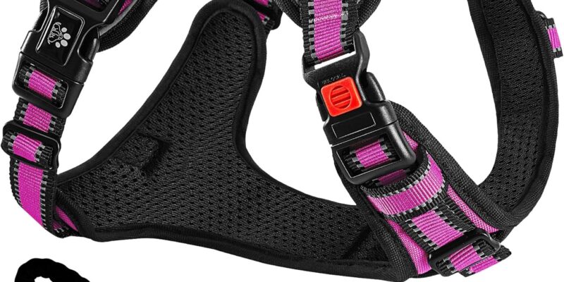 NESTROAD Anti-Pull H-Harness Dog Collar and Leash Car, Safety Belt Dogs Anti-Escape Pink Red, Size M for Medium Dogs, Neck 33~43 cm Chest 43~64, Dogs Basic Accessories