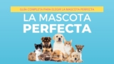 Guía completa para elegir la mascota perfecta para tu familia