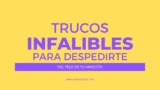 Trucos Infalibles para Despedirte del Pelo de tu Mascota