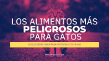 Alimentos Mortales para Gatos