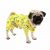 BbearT – Chubasquero para Mascotas, diseño Divertido con Capucha y Capucha Impermeable, para Perros pequeños y Cachorros