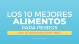 Los 10 mejores alimentos para perros según los expertos en nutrición animal