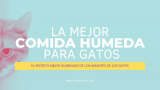 Mejor Comida Húmeda para Gatos