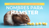 Nombres para Hamster